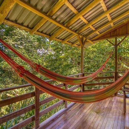 Selva Bananito Lodge Westfalia Exterior foto