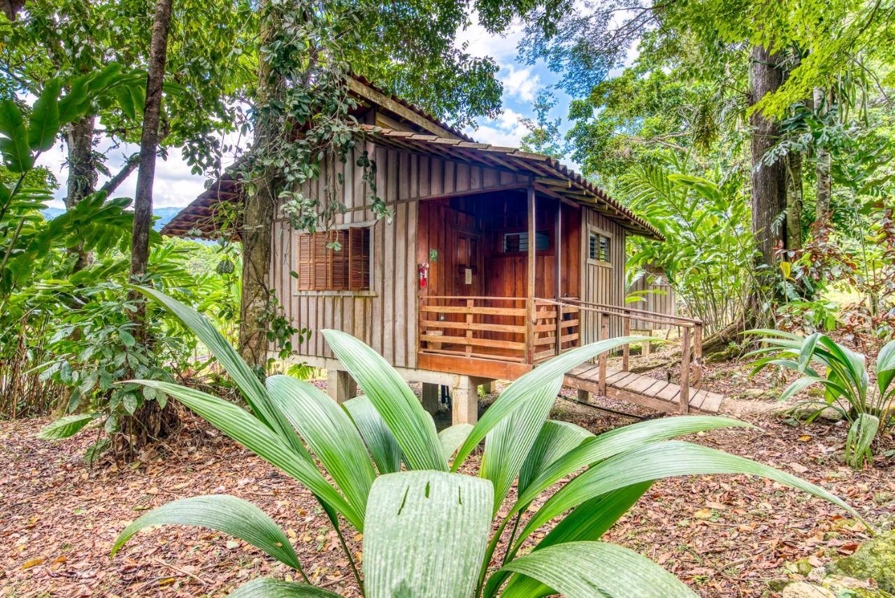 Selva Bananito Lodge Westfalia Exterior foto