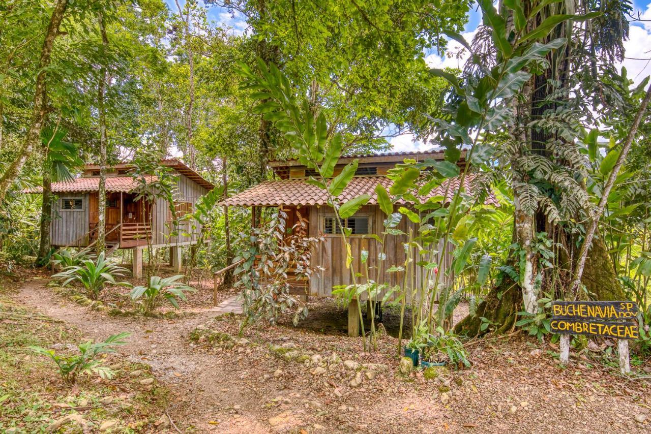 Selva Bananito Lodge Westfalia Exterior foto