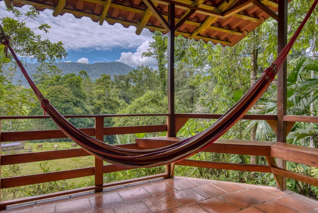 Selva Bananito Lodge Westfalia Exterior foto