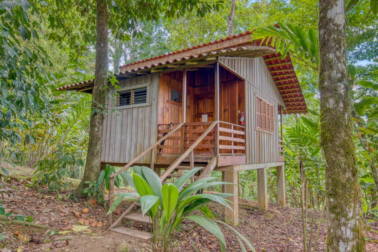 Selva Bananito Lodge Westfalia Exterior foto