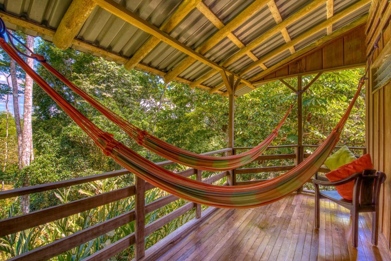Selva Bananito Lodge Westfalia Exterior foto