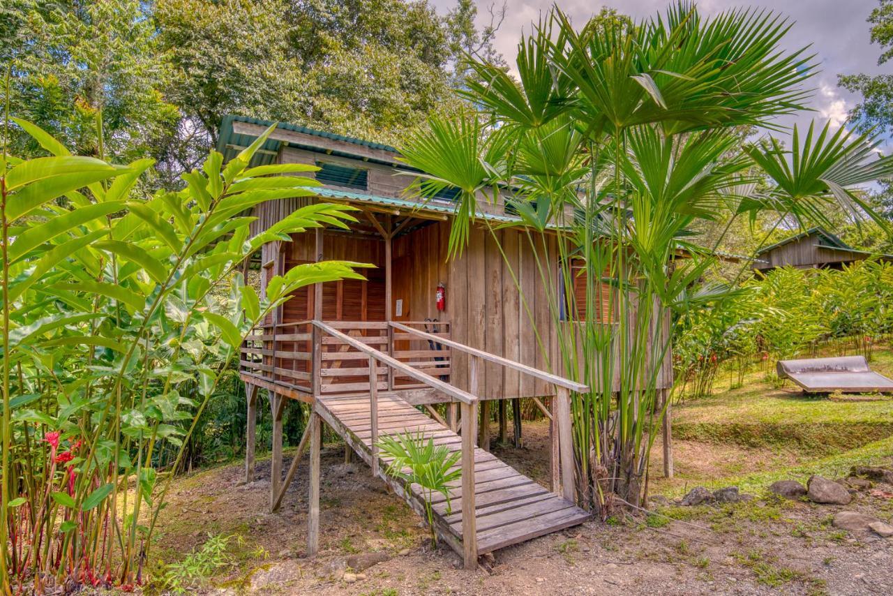 Selva Bananito Lodge Westfalia Exterior foto