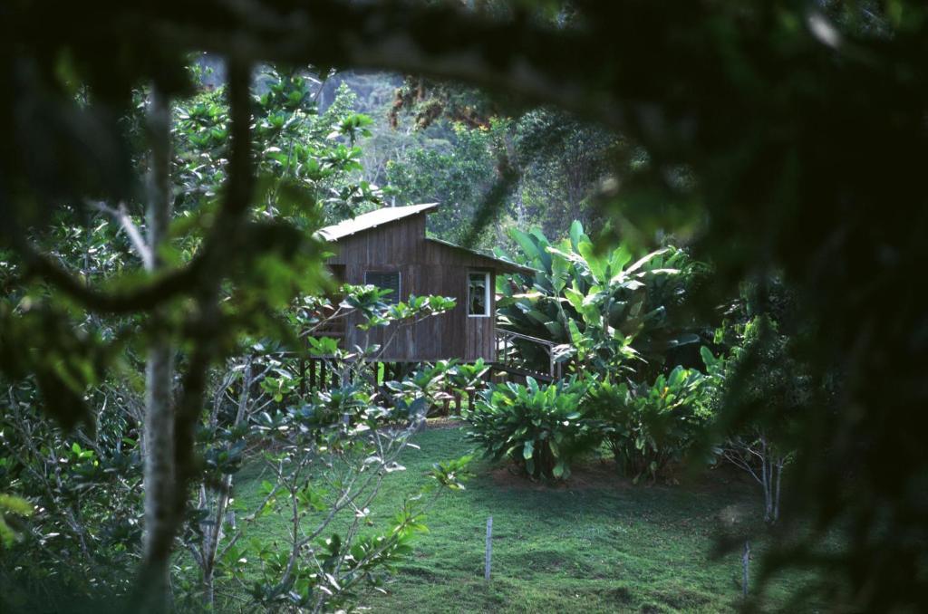 Selva Bananito Lodge Westfalia Zimmer foto